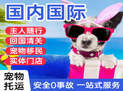 温州航空物流国际宠物托运 【国